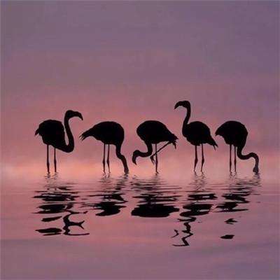 无尽的赛车狂奔